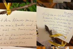 Ausstellung_2025_Amtshof_23